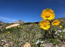 University of Colorado Mountain Research Station - Summer Seminar Series