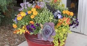 Spring Porch Pot Grab & Go 2024