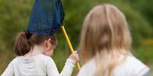 Summer Family Fun at Sevenoaks Wildlife Reserve: Pond Dipping