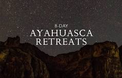 Ayahuasca Retreat | May — Ayahuasca Retreats Calendar & Upcoming Events in 2023/24