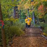 Fall Color Trail Run/Hike