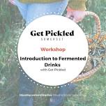 Introduction to Water Kefir and Wild Sodas: a primer in fermented drinks