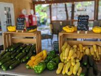 Bell Buckle Farmers Market