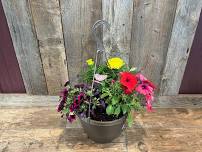 Create Your Own Hanging Basket