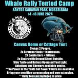 Whale Rally WC