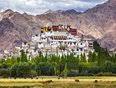 6 Day Buddhist Meditation Retreat in the Monastery in Indian Himalayas (Ladakh)