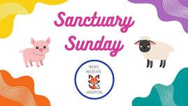 June Sanctuary Sunday