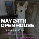 Open House Adoption Event  — KCHF