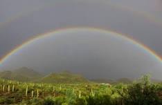 Maricopa County Parks and Recreation: Cave Creek Seed Garden