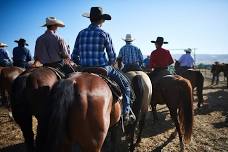 Gilroy Ranch Rodeo