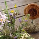 Using wild herbs - the superfood on your doorstep - Wirthshof Resort