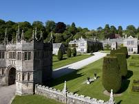 Guided dog walk at Lanhydrock