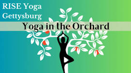 Yoga in the Orchard