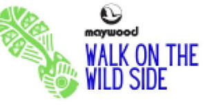 Walk on the Wild Side,