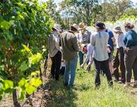 Winemaker for a Weekend – 15-16 March 2025