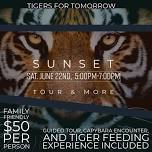 Sunset Tour & More