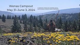 Wenas Audubon Campout 2024