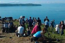 Public planting day at Shakespear Regional Park