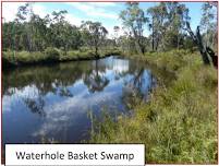 Basket Swamp National Park, NSW (meet in Stanthorpe 9am)