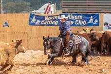 Horsemanship cattle work