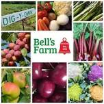 Artisan Craft Market at Bell's Farm  alongside produce show