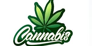 Start Your Own Virtual Online Cannabis Franchise .. Free Seminar