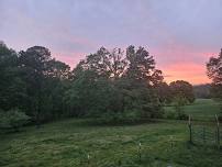 Farm picnic