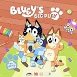 Bluey's Big Play