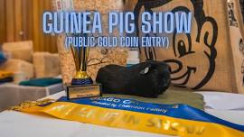 Guinea Pig Show - Dunedin