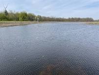 Guided Kayak Paddle at 8 a.m., Willow Slough FWA