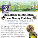 Bumblebee Identification and Survey Training with Get the Marches Buzzing!