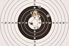 Oneonta Sportsmen's Club Summer Bullseye 2024