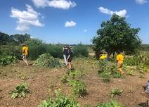 Volunteer Work Day