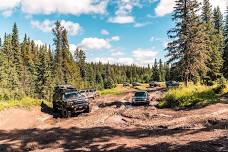 Maclean Creek Cleanup