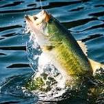 Glenalee Annual Bass Fishing Derby