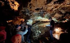 Bat Ecology Cave Tours