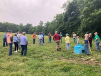 Pasture Walk