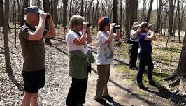 Wetland Birds Walk