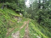 IHTTSC hike from Khaira Gali to Donga gali Moto Tunnel