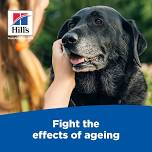 Hill's Pet Parent Talk for Senior Pets