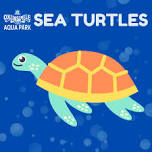 Sea Turtles Swim Lessons - AM 1