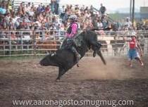 Brash Rodeo Summer Series 2024