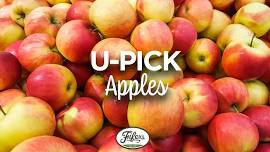 U-Pick Apples