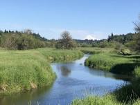 Fun Hike @ Salmon Creek Trail, Vancouver