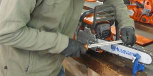 Chainsaw Maintenance, Crosscutting & Felling Small Trees