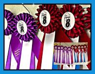 Maltby Stables Super 8 Horse Show