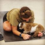 Indoor Yoga with Goats