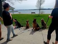 K9 Manners class