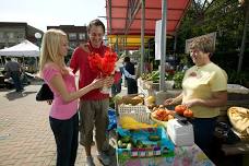 Town Square Farmer's Market