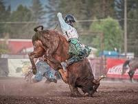 Brash Rodeo Summer Series